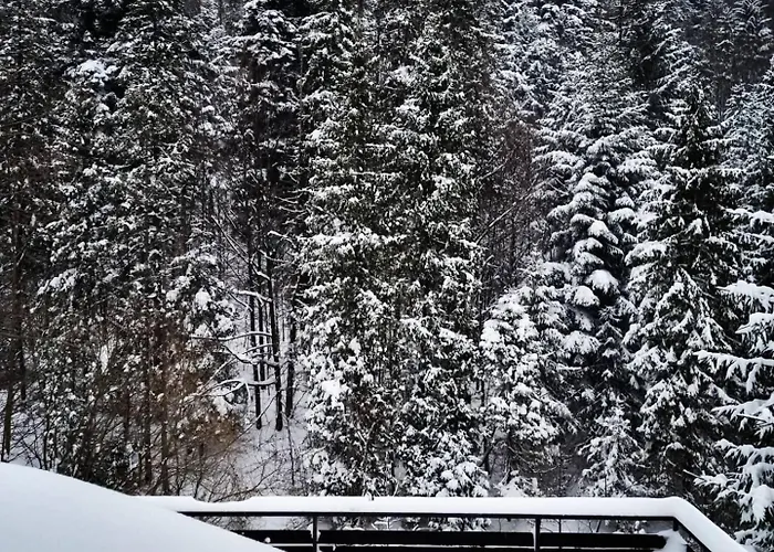 Bliski Villa Szczyrk